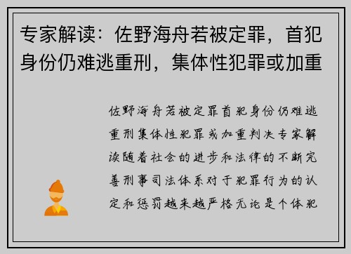 专家解读：佐野海舟若被定罪，首犯身份仍难逃重刑，集体性犯罪或加重判决