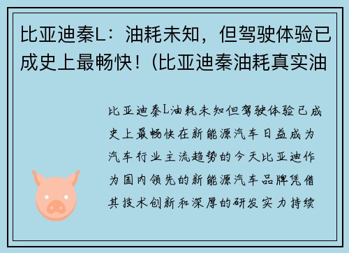 比亚迪秦L：油耗未知，但驾驶体验已成史上最畅快！(比亚迪秦油耗真实油耗报告)
