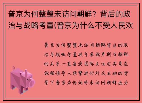 普京为何整整未访问朝鲜？背后的政治与战略考量(普京为什么不受人民欢迎)